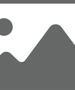 Placeholder 2